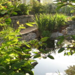 Garten- und Landschaftsbau Peter Oskar in Reithofen - Garten Teich Pflanzen